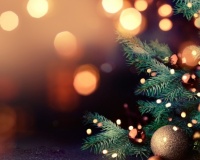 Celebrate the festive season with Clapham & Collinge Solicitors
